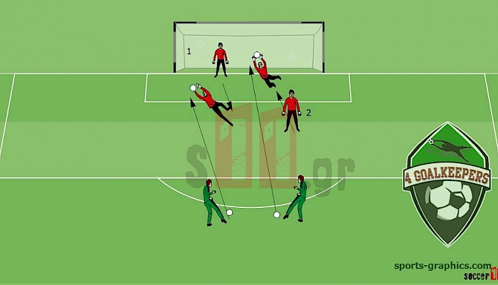 3.Reaction Speed Training session