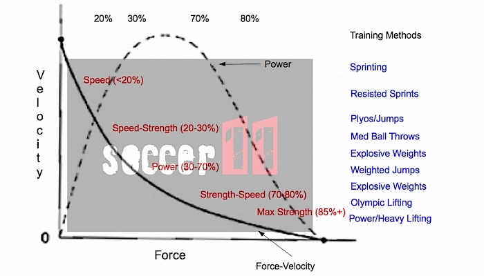 Speed performance in soccer